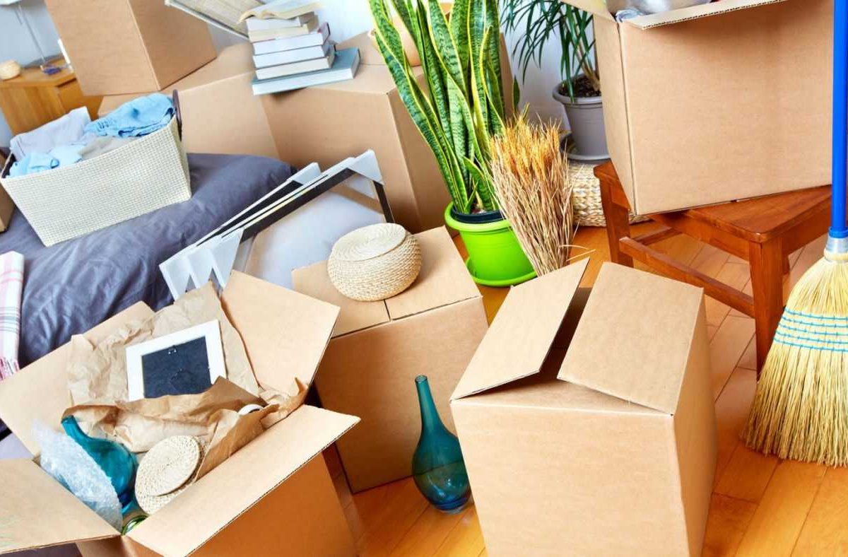 mover packing services