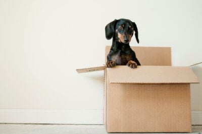 How to Pack for Moving