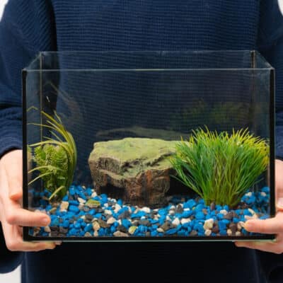 Fish Tank Movers: Finding the Right Professionals for Your Aquarium Relocation