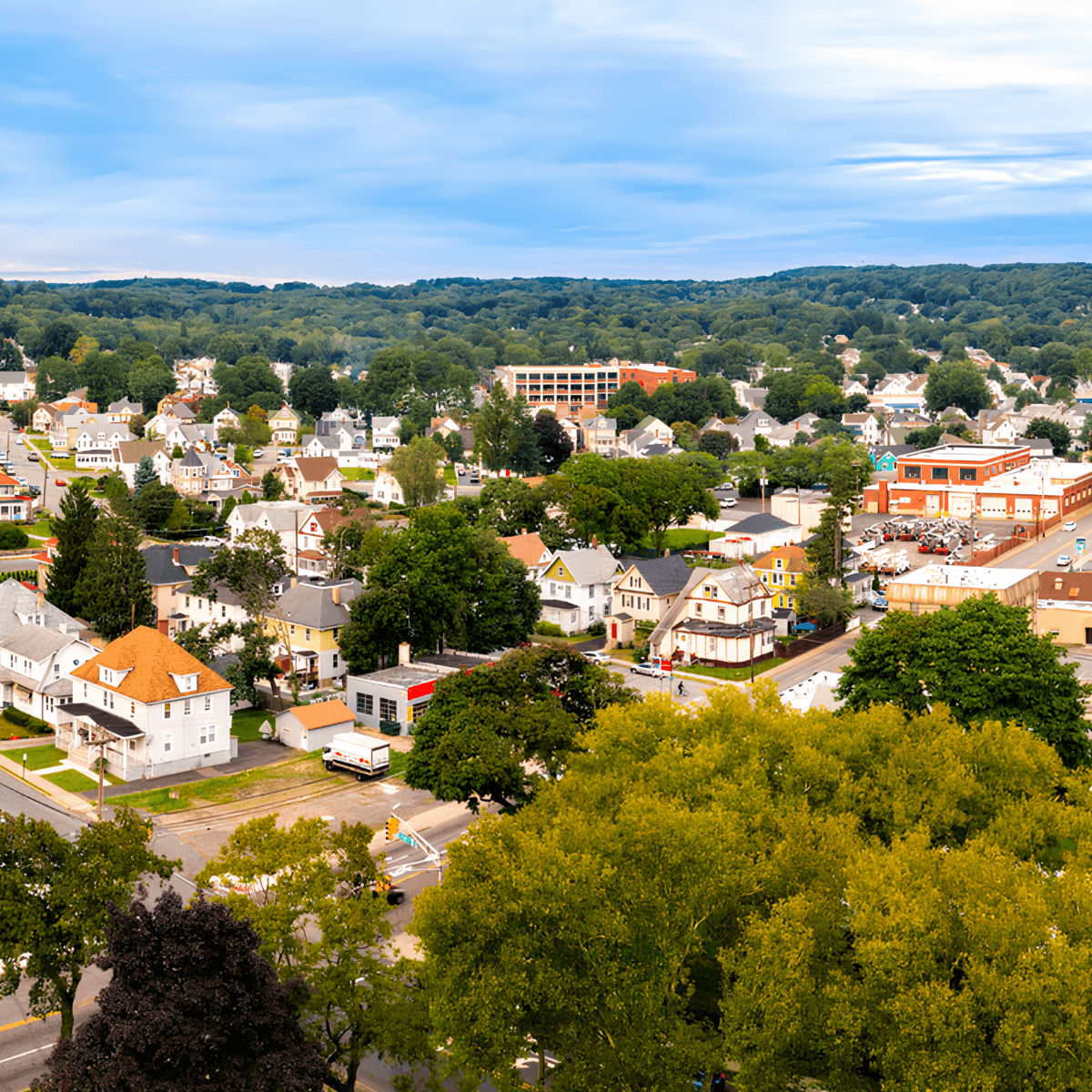 Randolph NJ moving company - Vector Movers