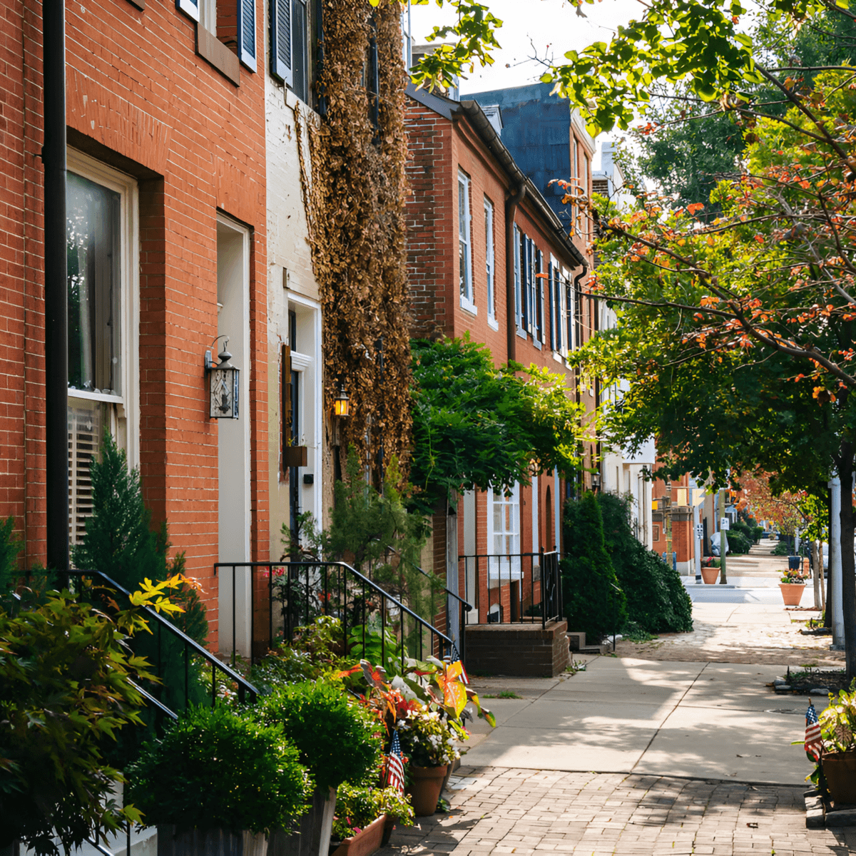 Chatham NJ moving company - Vector Movers