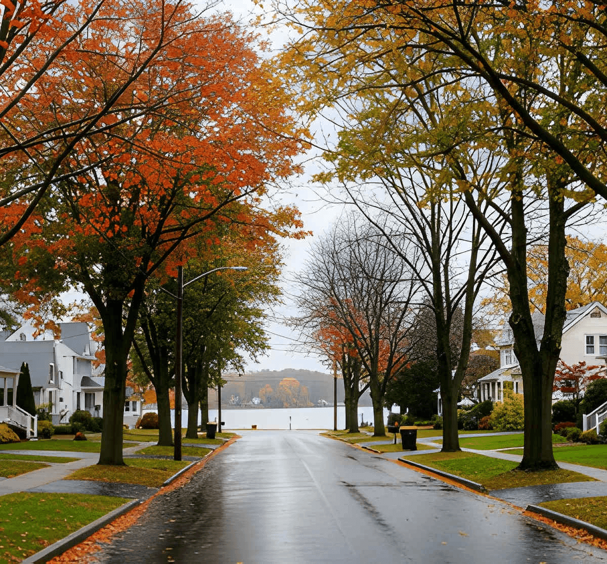 Bloomingdale NJ moving company - Vector Movers