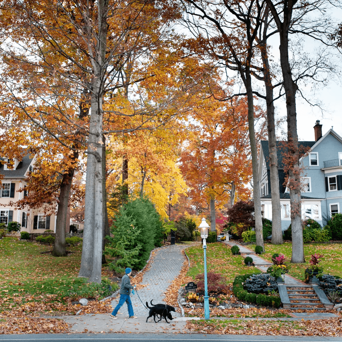 Glen Ridge NJ moving company - Vector Movers