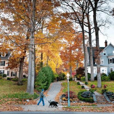 Glen Ridge NJ moving company - Vector Movers