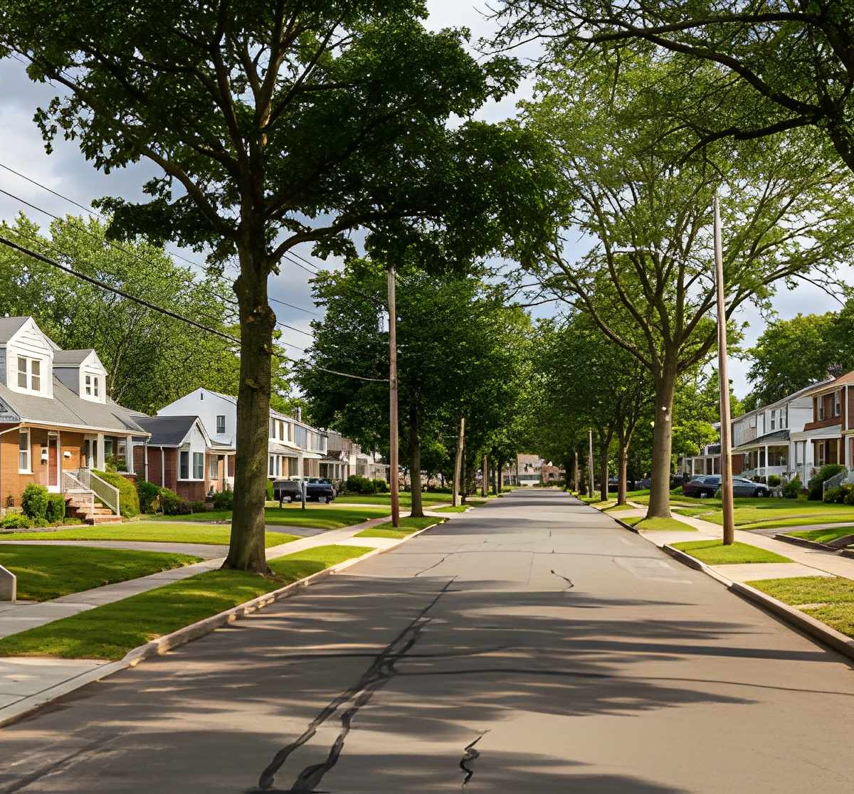 Roselle Park NJ moving company - Vector Movers